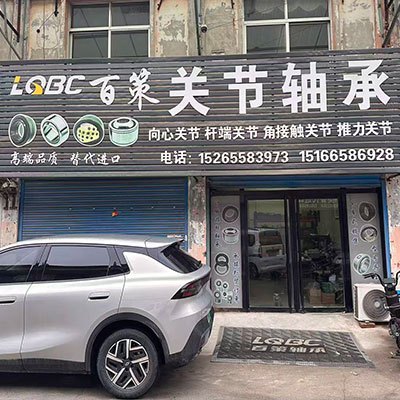 临清市百策轴承有限公司