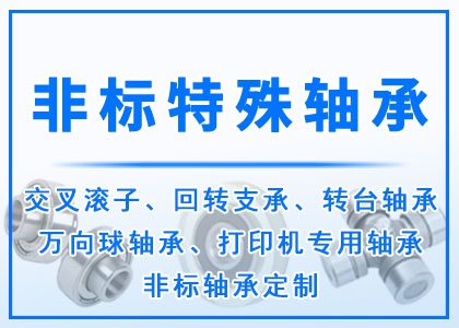  非标丨特殊丨异型轴承定做