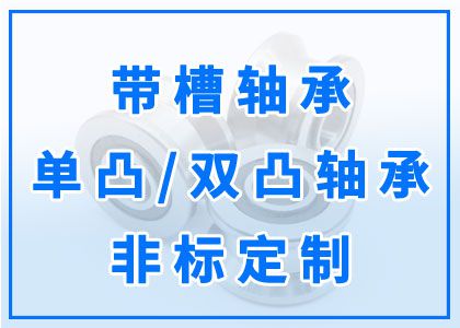 带槽轴承丨单凸、双凸轴承丨非标定制
