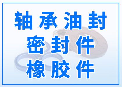 轴承油封丨密封件丨橡胶件