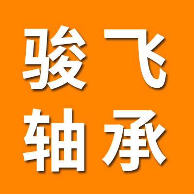 山东骏飞轴承有限公司