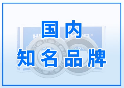 国内知名品牌
