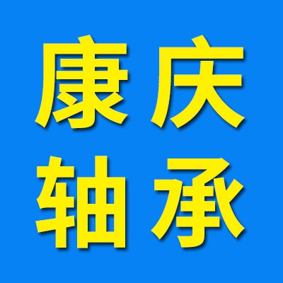 康庆八类微型推力轴承